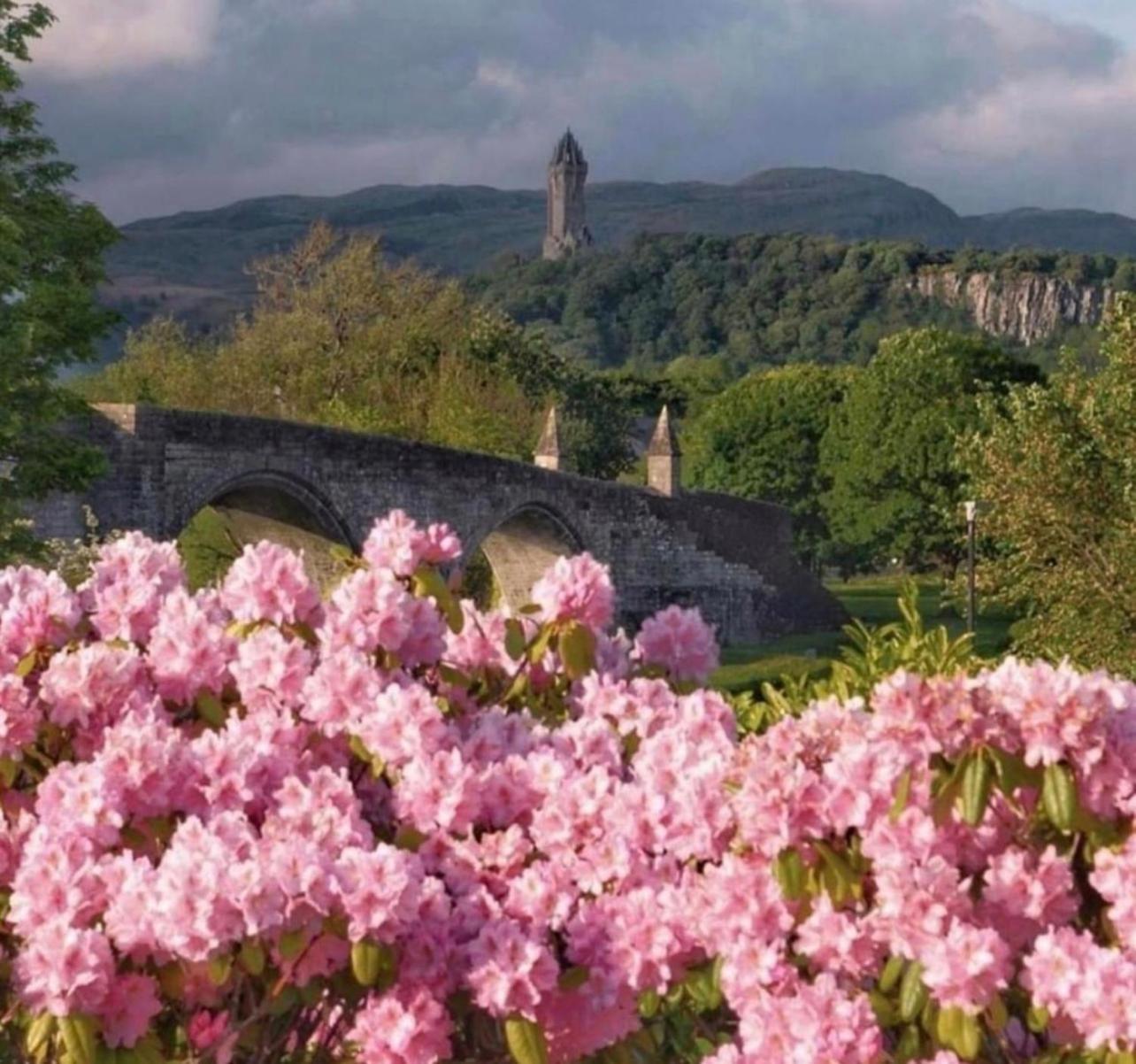 Cosy Cottage Stirling Dış mekan fotoğraf